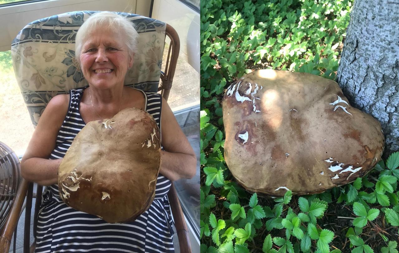 Trova un fungo porcino da record al lago Santo di Modena