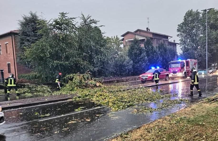 Maltempo a Modena, alberi abbattuti dal forte vento in tutta la provincia