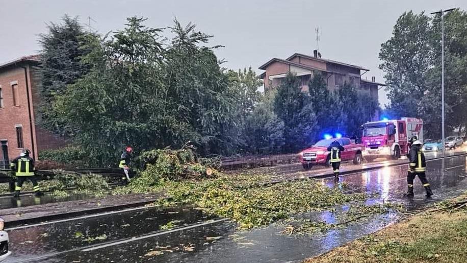 Maltempo a Modena, alberi abbattuti dal forte vento in tutta la provincia