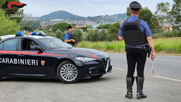 Sorpresi a rubare i pancali di legno da un’azienda: coppia denunciata a Collesalvetti