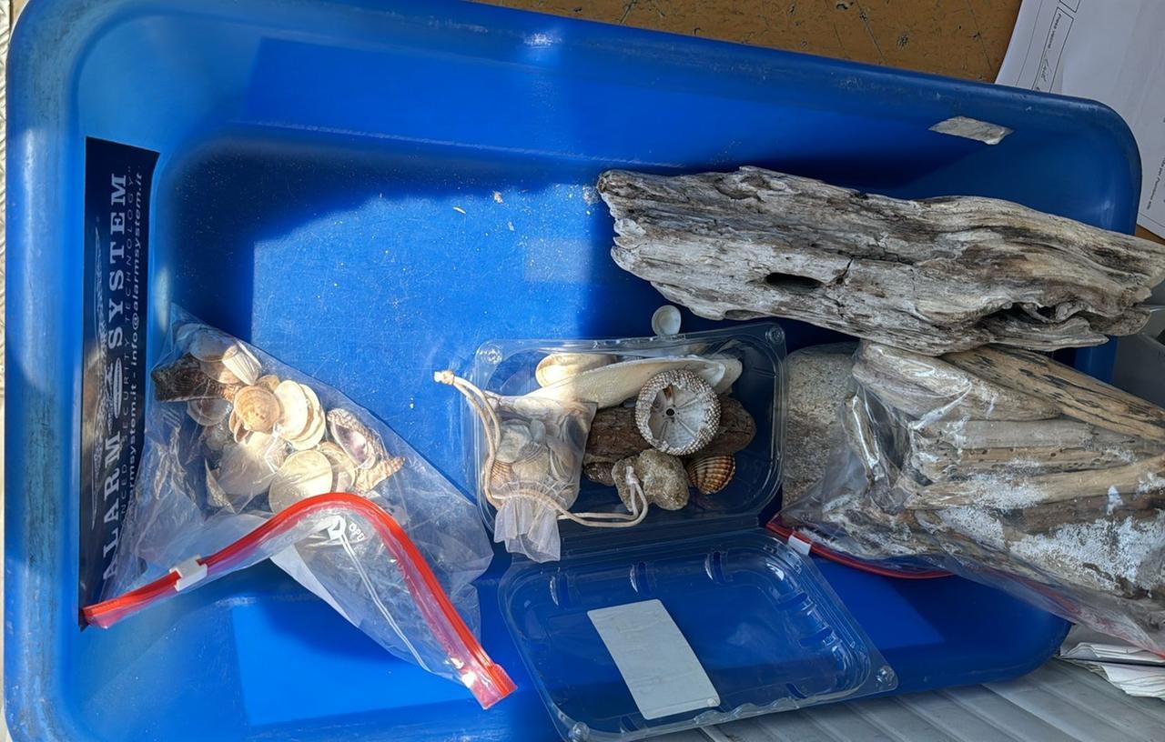 Olbia, ancora un sequestro di conchiglie e pietre all’Isola Bianca