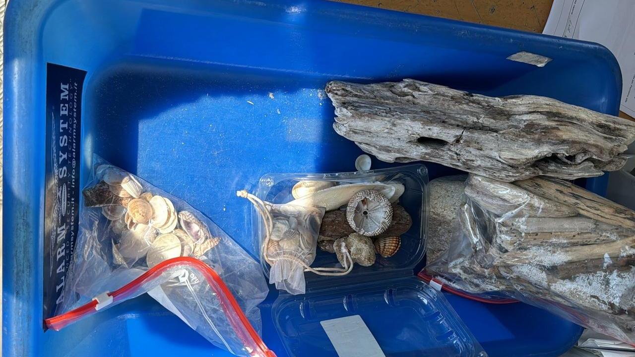 Olbia, ancora un sequestro di conchiglie e pietre all’Isola Bianca