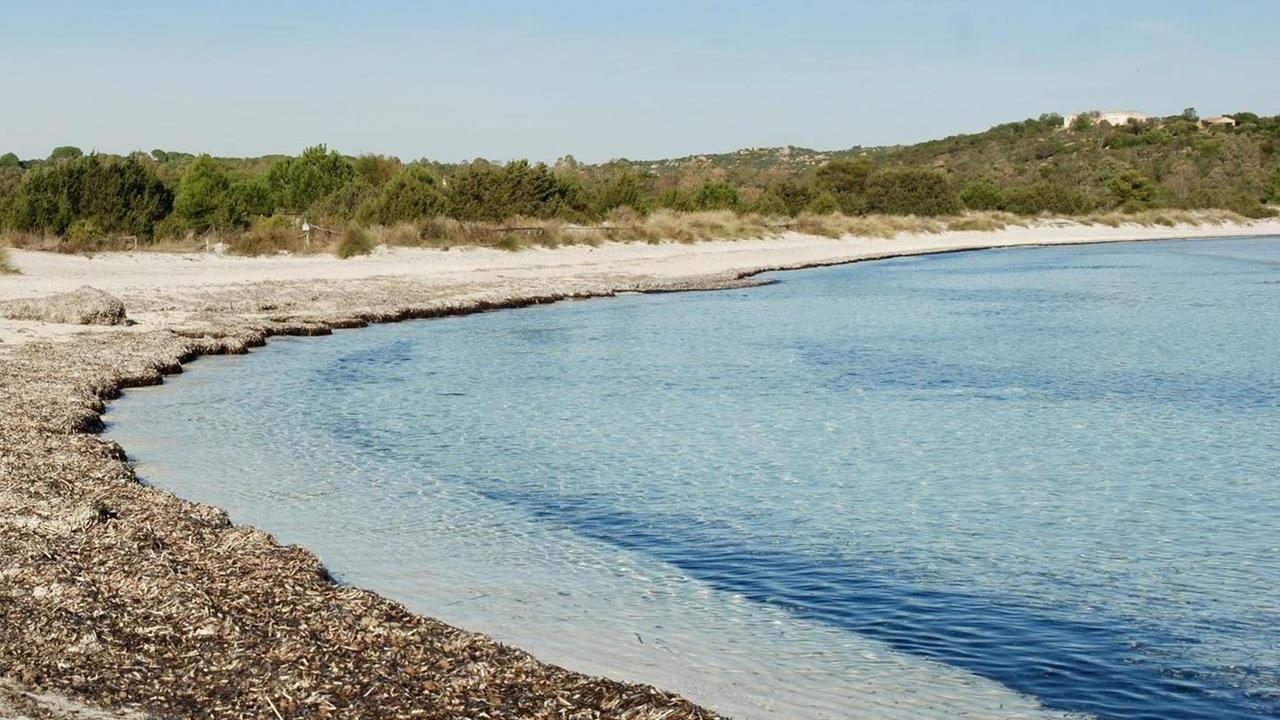Cala Brandinchi, nessun inquinamento: «L’acqua verde? Fenomeno naturale»