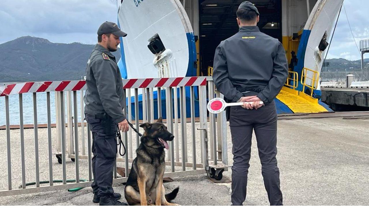 
	La finanza al porto di Portoferraio (Foto di repertorio)

