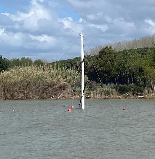 A sinistra l’albero che spunta dall’Arno (Foto Giornale della vela)