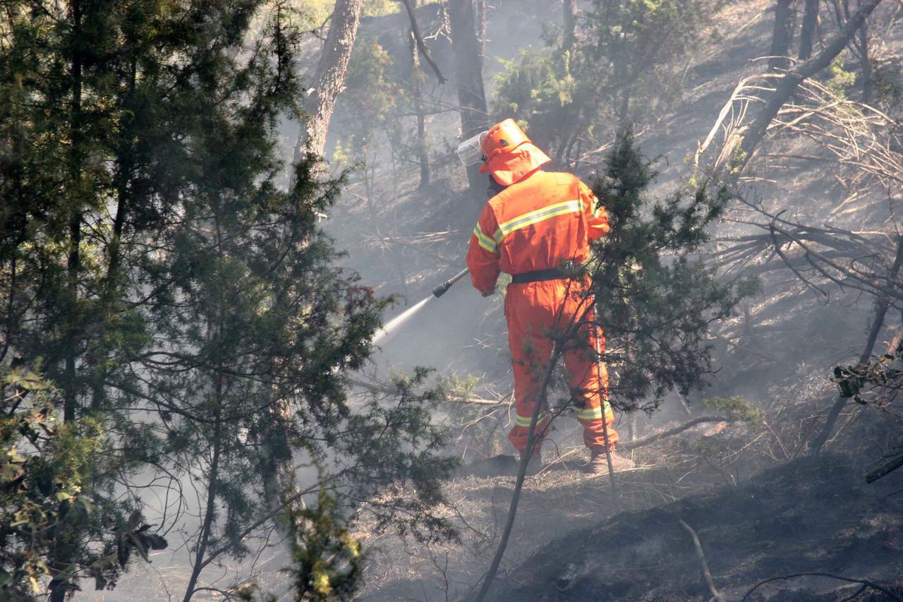 Rischio incendi boschivi: emergenza estesa alla provincia di Reggio Emilia