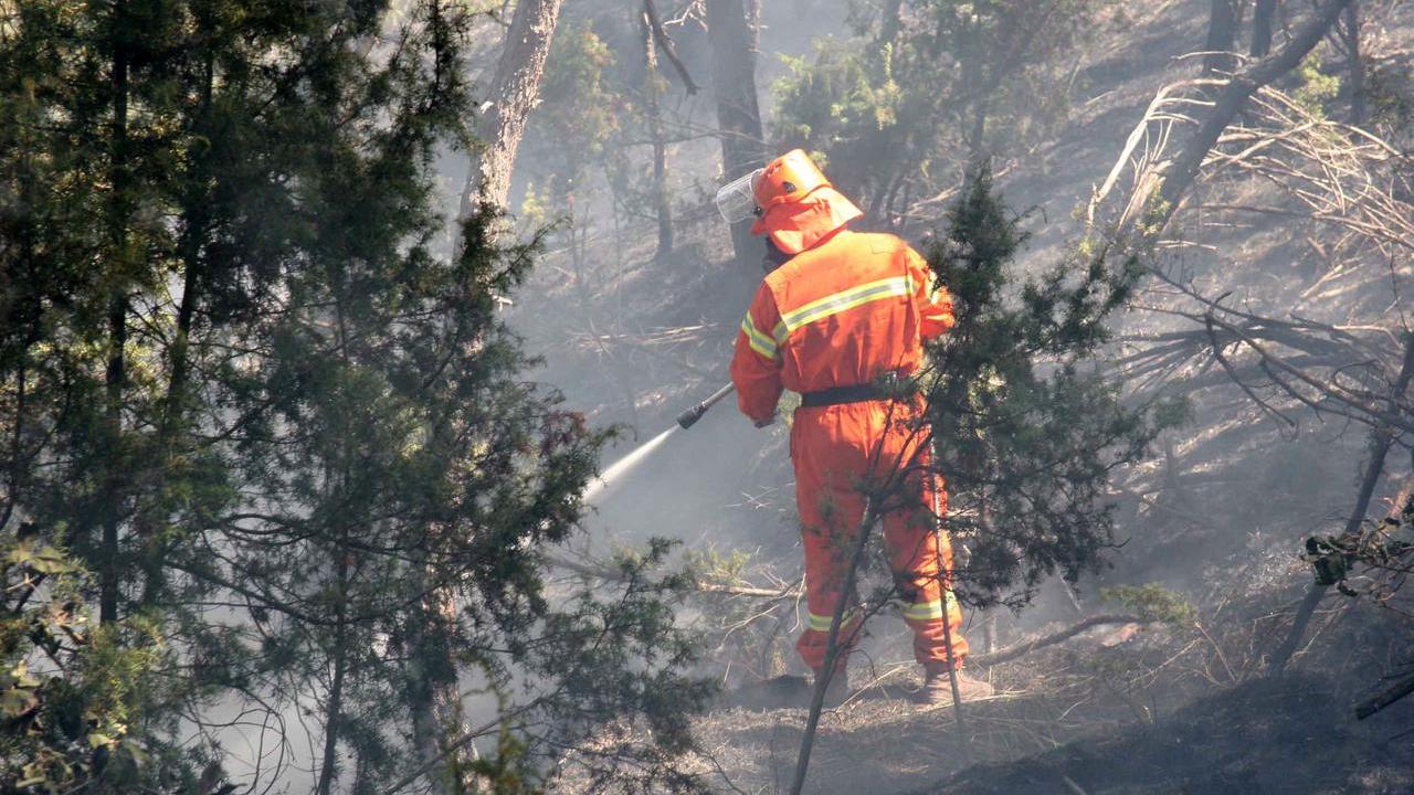Rischio incendi boschivi: emergenza estesa alla provincia di Reggio Emilia