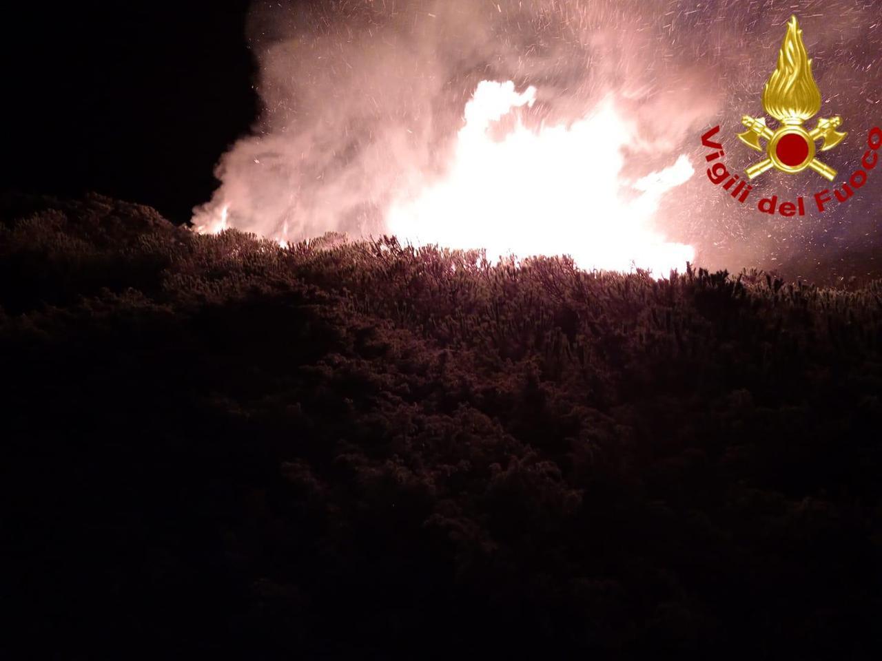 Sorso, nella notte le fiamme minacciano la pineta di Platamona