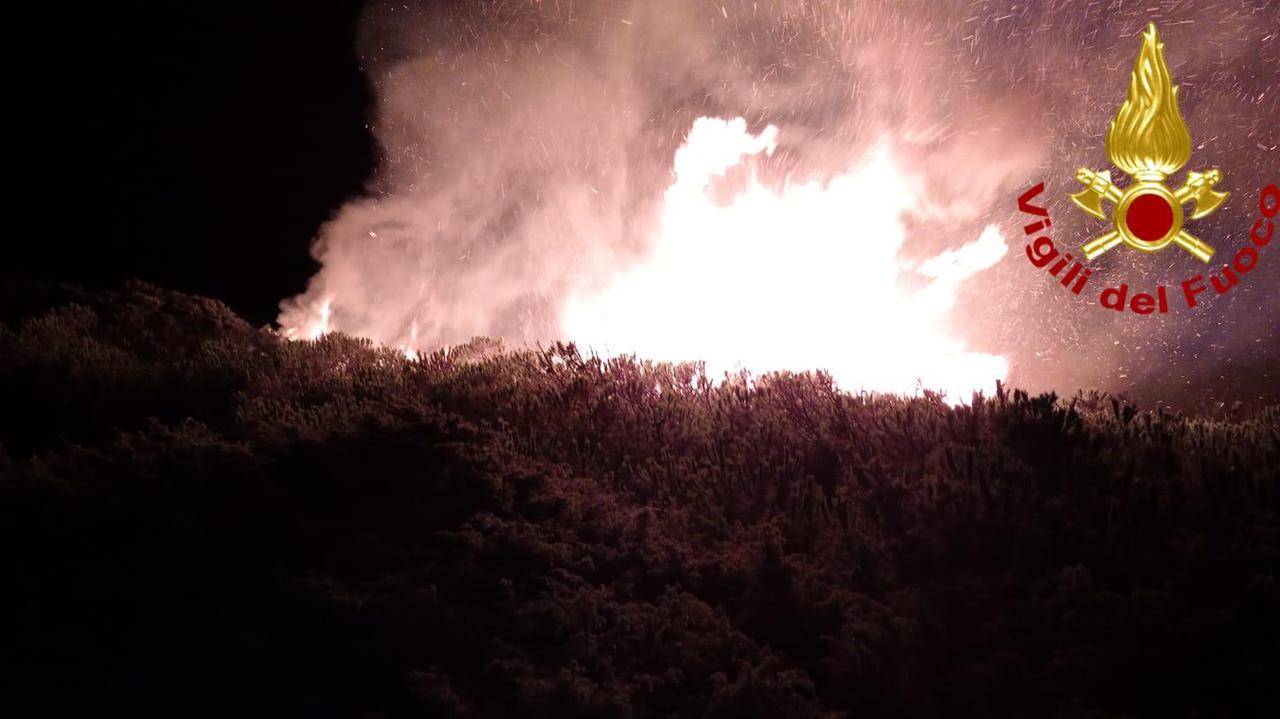 Sorso, nella notte le fiamme minacciano la pineta di Platamona