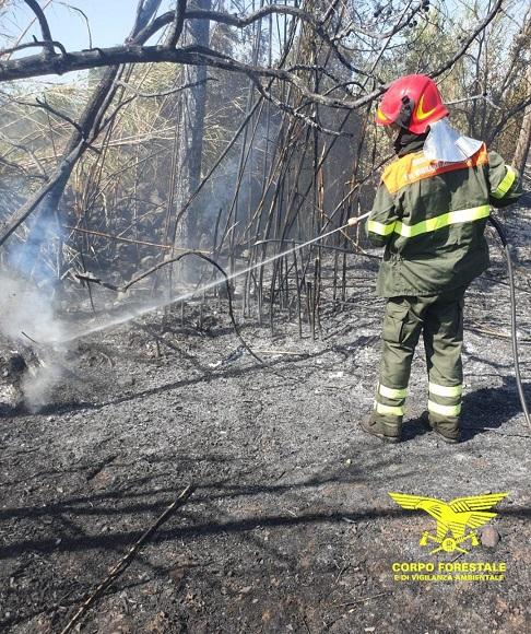 Giornata di fuoco nel Sassarese, fiamme a Siligo e a Codrongianos
