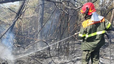 Giornata di fuoco nel Sassarese, fiamme a Siligo e a Codrongianos