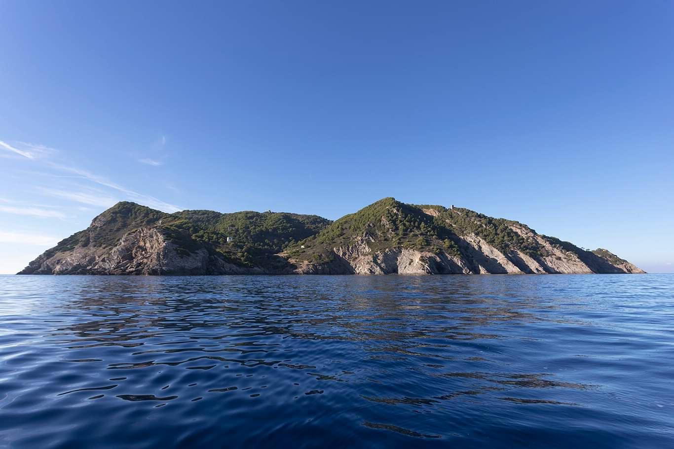 L'isola di Gorgona