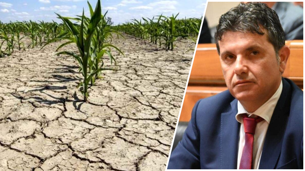 Consorzi di bonifica, dall’assessorato dell’Agricoltura progetti sui fondi Fsc per 463 milioni di euro