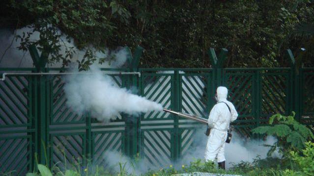 West Nile, altri tre ricoveri nel Modenese: «Una disinfestazione a settimana nelle zone a rischio»