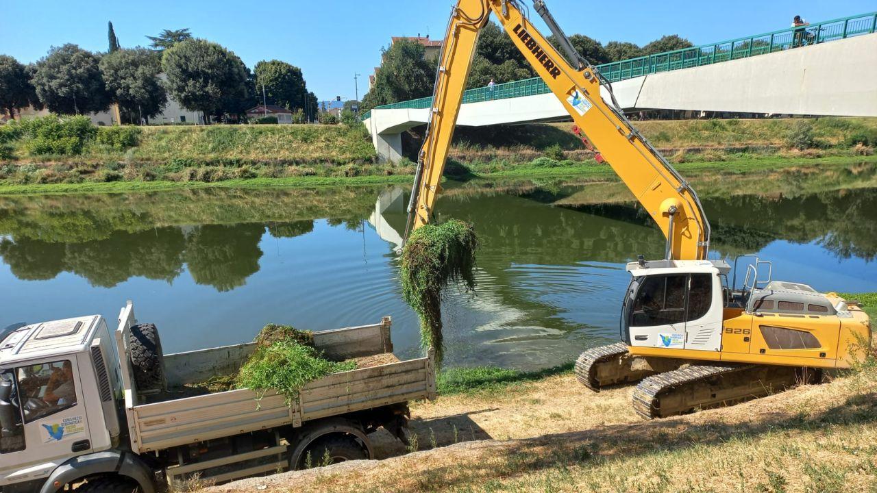 L'intervento di rimozione delle alghe