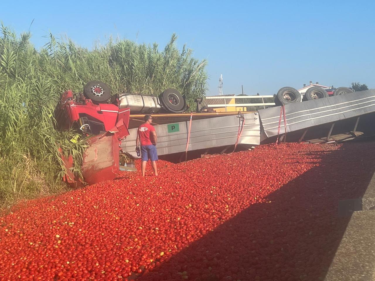 
	Il camion ribaltato e i pomodori (foto Enzo Russo)

