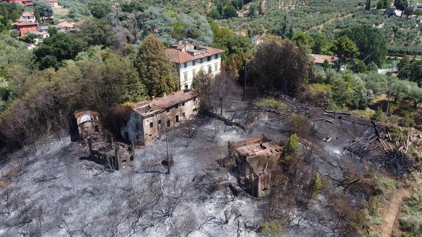 L'area dell'incendio (Foto Nucci/Innocenti)