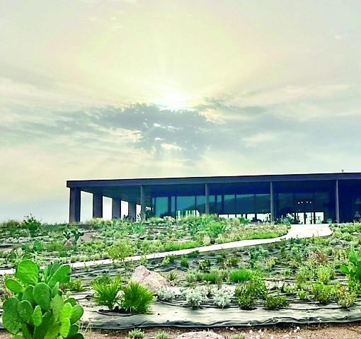 Podere Guardia Grande, la cantina di Alghero griffata Antonio Marras
