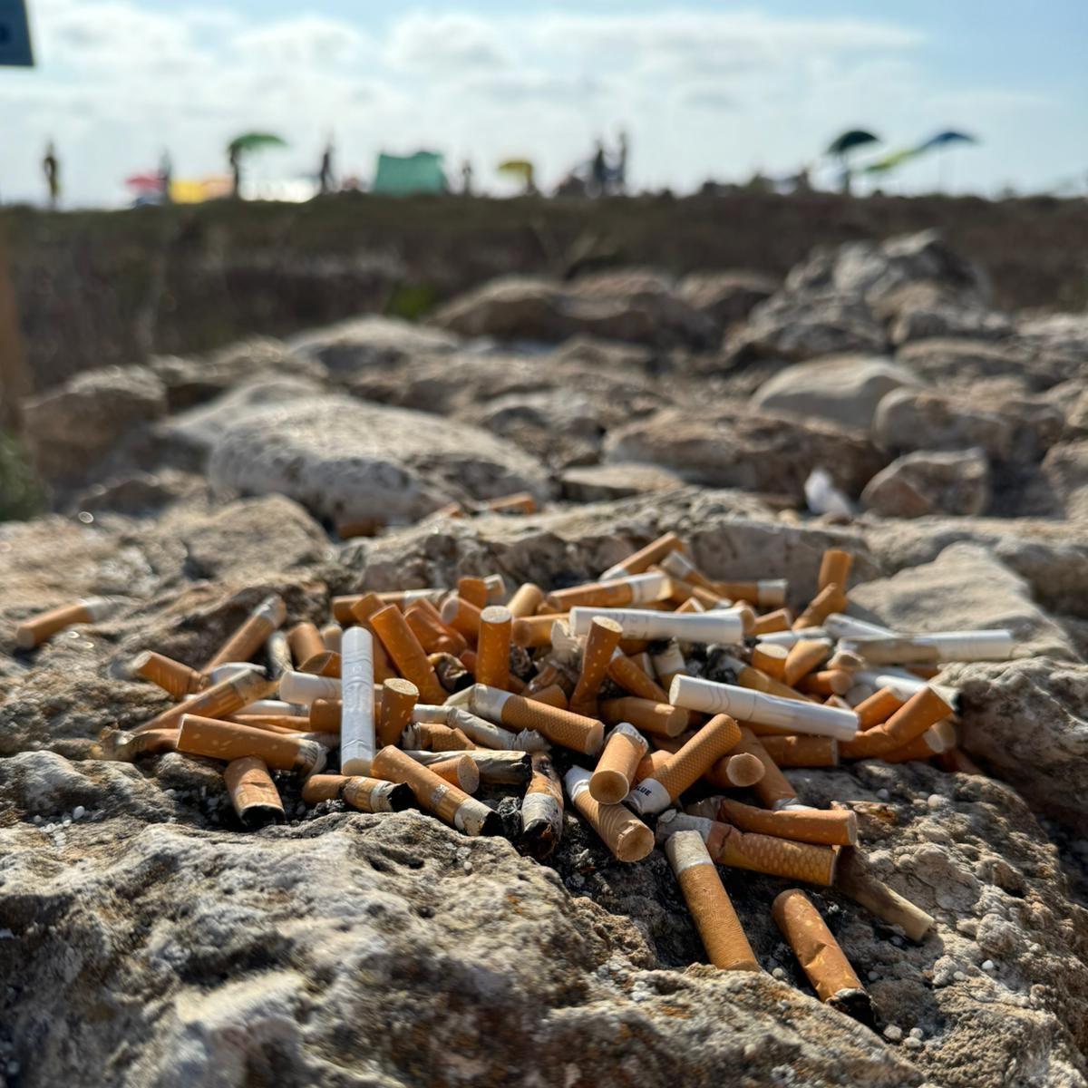 
	Sigarette lasciate sul muretto dietro una spiaggia del Sinis

