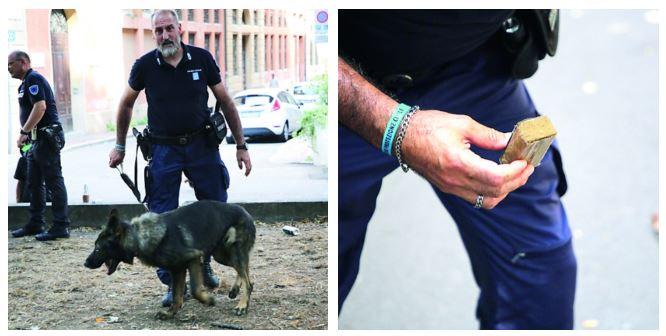 Il fiuto del cane antidroga Victor trova un altro panetto di hascisc al Parco del Popolo