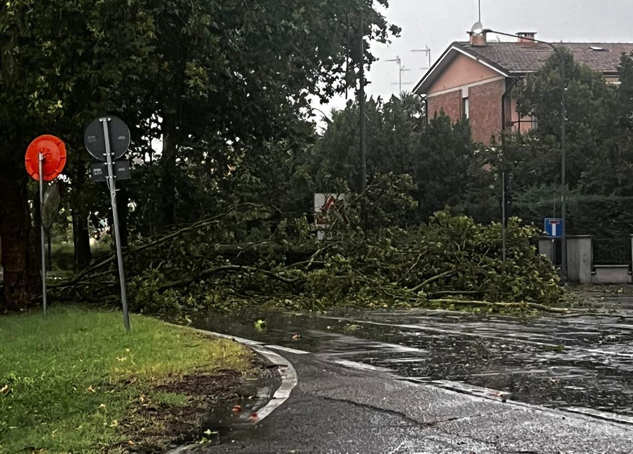 Torna il maltempo a Modena: grandine, vento e danni nella Bassa