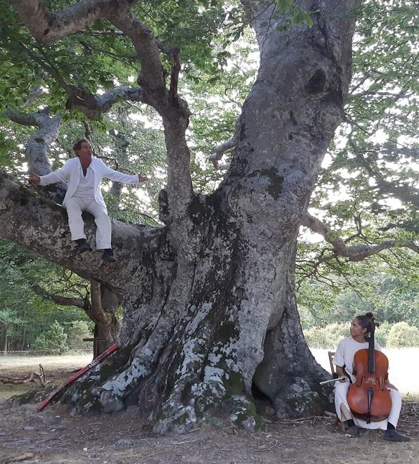 Ritorna Alberi in Cammino tra i giganti dell’Appennino reggiano