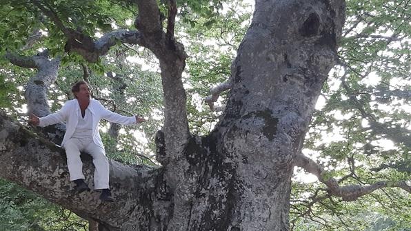 Ritorna Alberi in Cammino tra i giganti dell’Appennino reggiano