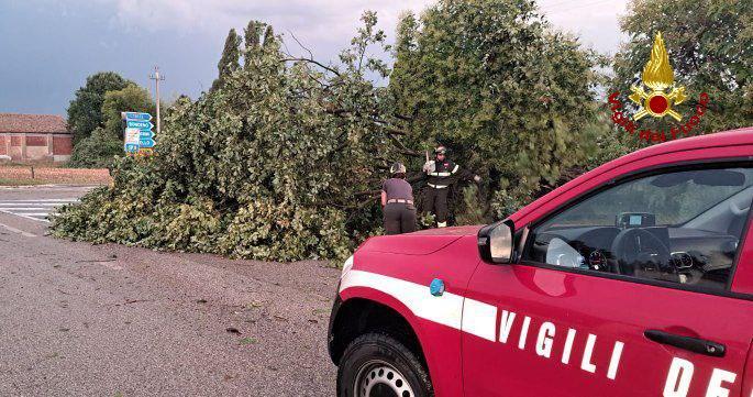 Il maltempo flagella Finale e la Bassa: 40 interventi per il nubifragio