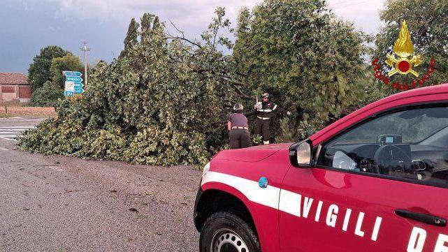 Il maltempo flagella Finale e la Bassa: 40 interventi per il nubifragio
