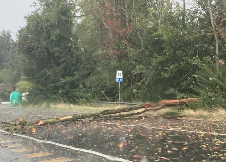 Maltempo, notte di lavoro per i pompieri tra Cento e Bondeno