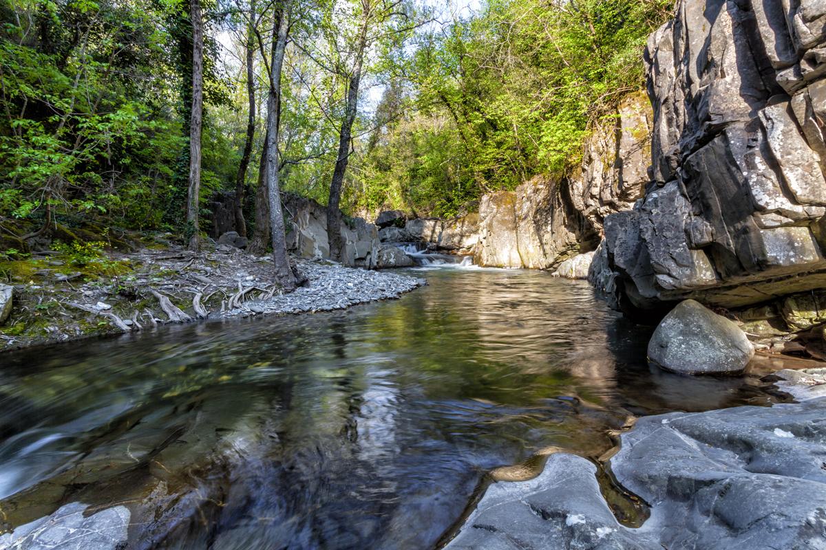 
	Le vasche naturali del torrente Ente

