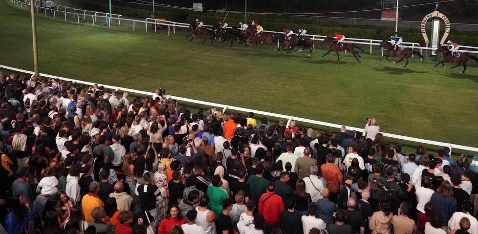 Coppa del Mare, tutti alll'ippodromo Caprilli di Livorno: c’è la regina delle corse<br>
