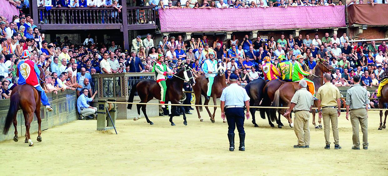 Palio di Siena, ben tre fantini vengono dal Marghine: chi sono “Gingillo”, “Brigante e “Velluto”