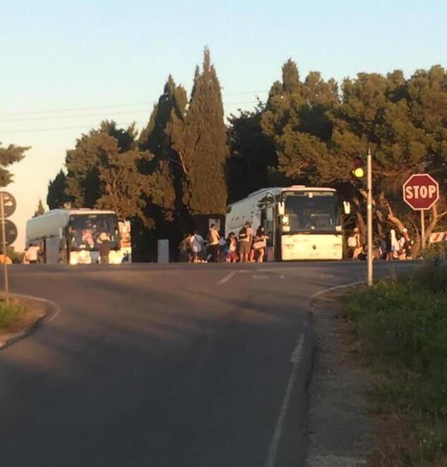 Spiagge Bianche vietate ai bus: scattano le multe. Il bilancio dei controlli di Ferragosto