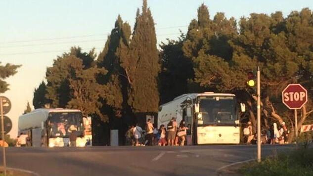 Spiagge Bianche vietate ai bus: scattano le multe. Il bilancio dei controlli di Ferragosto