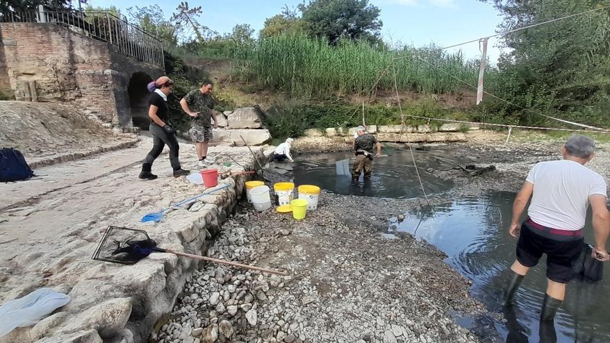 Montelupo, il torrente Pesa è in secca: volontari salvano i pesci