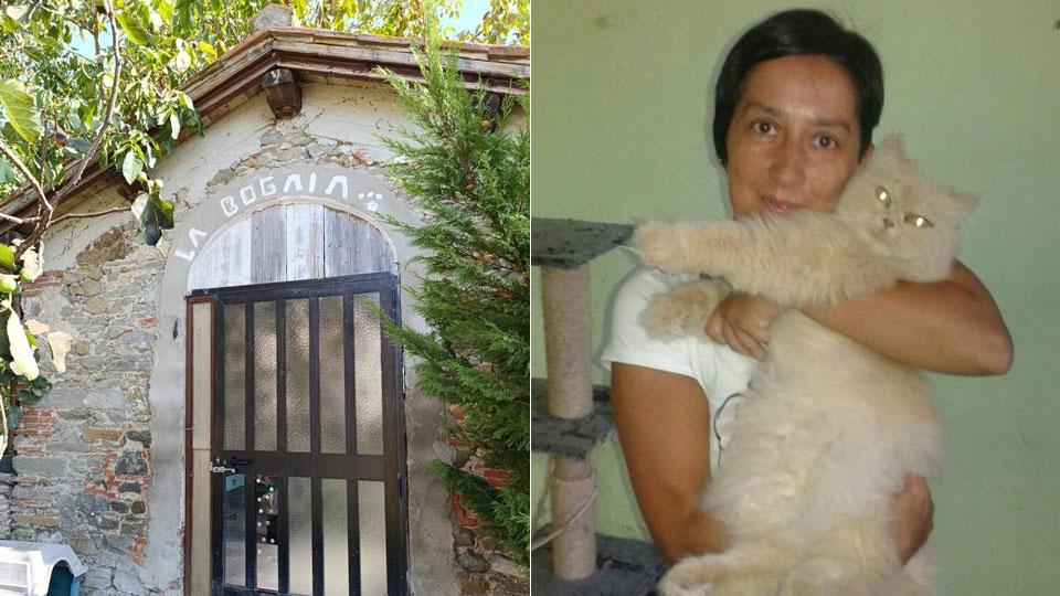 Prato, abbandoni sempre più crudeli: gattini buttati in strada o nei rifiuti
