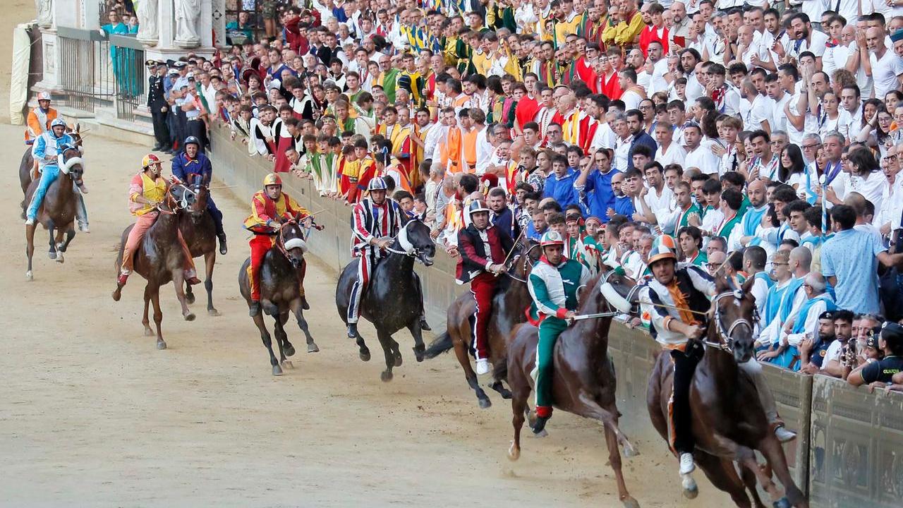 Un momento del Palio (foto Fabio Muzzi)