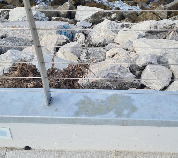 Marina di Carrara, allarme per la passeggiata del Molo «Occorre la polizia municipale»
