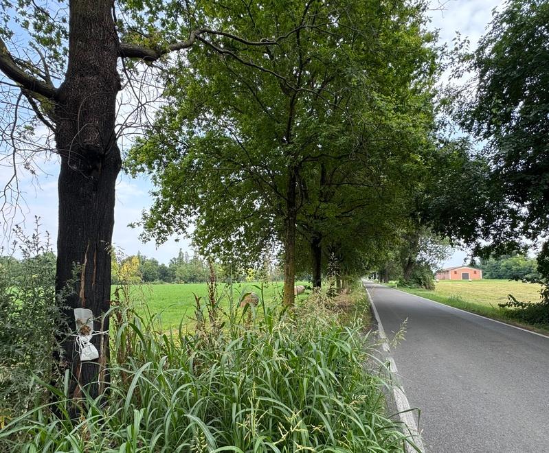 Niente più morti grazie al velox ma via Molinazza resta pericolosa