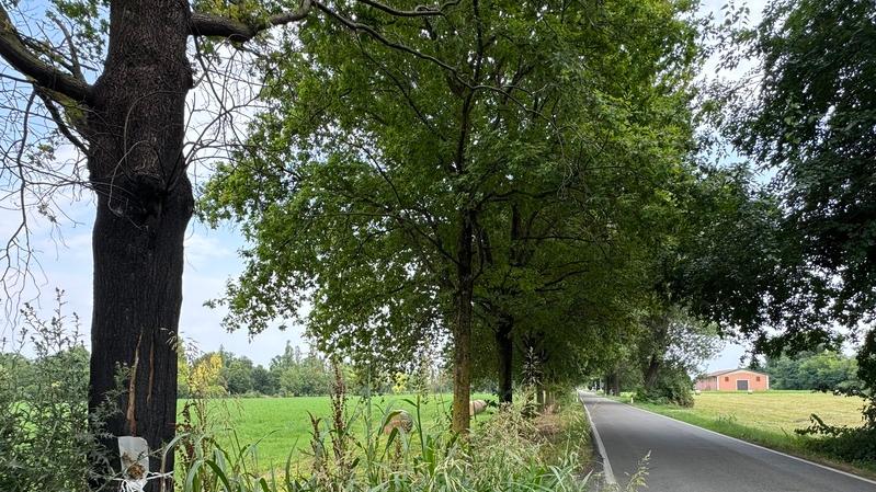 Niente più morti grazie al velox ma via Molinazza resta pericolosa
