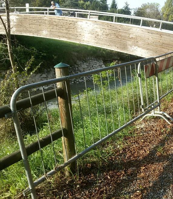 L’assessore: «Nessun pericolo sulla pista ciclopedonale»