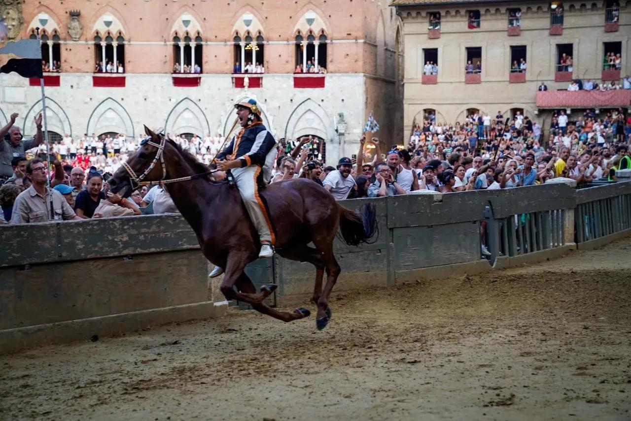 
	Dino Pes vincitore de Palio di Siena 2024


