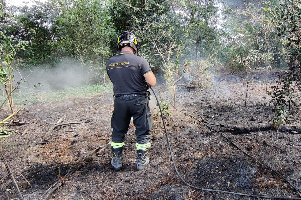 Il territorio di Ferrara è ad alto rischio incendi boschivi