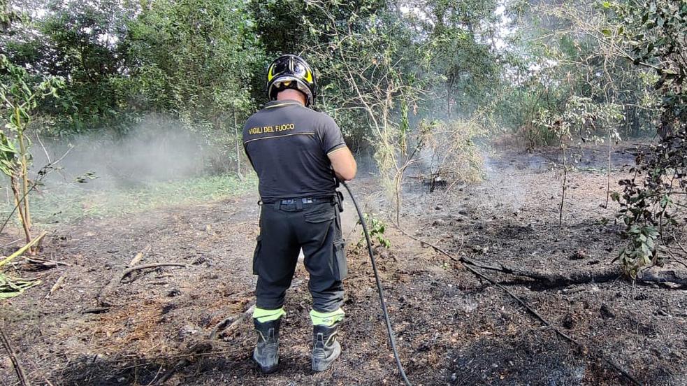 Il territorio di Ferrara è ad alto rischio incendi boschivi