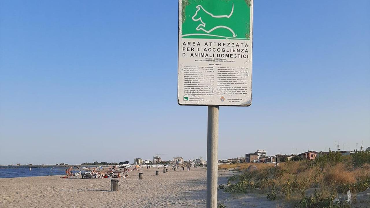 Porto Garibaldi, niente area sgambamento cani in spiaggia libera e scoppia la lite