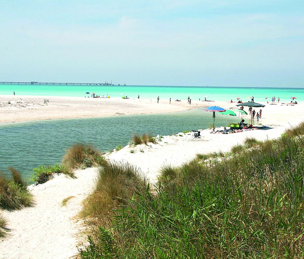 
	La foce del fiume Fine all'altezza delle Spiagge Bianche

