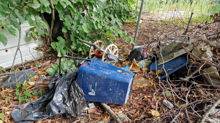 Ferrara, l'ex Diana: da dancing a discarica. I cittadini denunciano il degrado