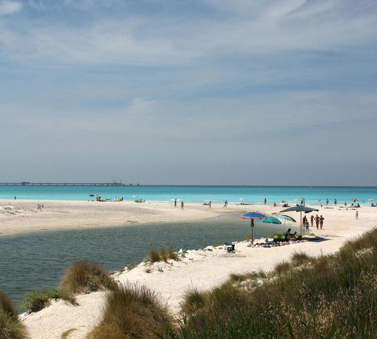 
	La foce del Fine alle Spiagge bianche

