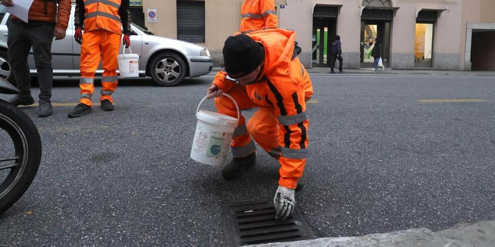 Capannori, due casi di Dengue sul territorio: al via la disinfestazione a tappeto<br>

